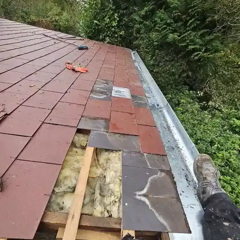 changement gouttiere herblay sur seine 3