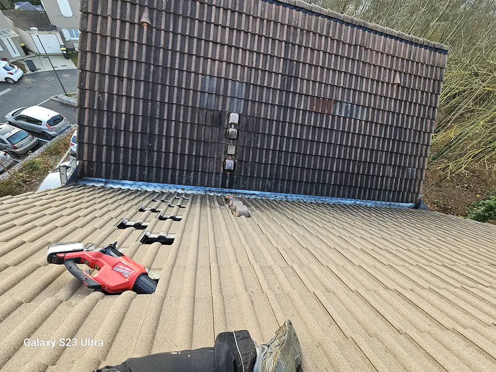 Nettoyage chéneaux Herblay-sur-Seine 95220